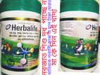 হার্বালাইফ Herbalife (খাবারের বিকল্প খাদ্য) ফুড আইটেম