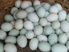হাসের ডিম বিক্রি হবে