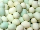 হাসের ডিম duck egg for sale