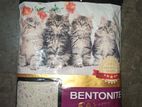 Haisenpet Cat Litter