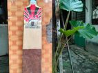 Hammer 007 Cricket Bat