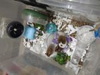 Hamster/SugarGlider/Porcupine wheel,saucer,tunnel,house,ball,sandbath