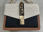 Hand Bags (aldo Band)