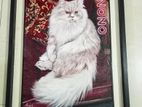 Handmade Cat Painting.আপনার রুমের জন্য পারফেক্ট সাজসজ্জা