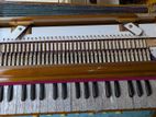 Harmonium 37 ( Germany Rid)