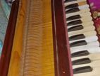 harmonium sell