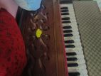 Harmonium for sell