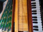 Harmonium