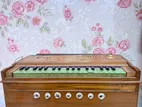 Harmonium For Sale