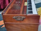 Harmonium For Sale