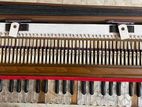 Harmonium For Sale