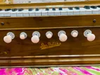 Harmonium for sale