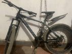 Phoenix Bicycle for sale