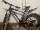 Phoenix Bicycle for sale