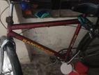 Bicycle for Sale