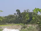24 shotok land
