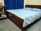 Hatil Bed