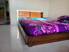 Hatil Bed+Mattress