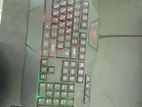 Havit Keyboard and Golden field Mouse combo