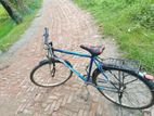 Bicycle for sell