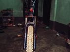 Bicycle for sell