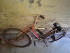 Bicicle sale