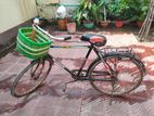 Bicycle for sell