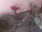Bicycle for sale