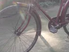 Bicycle For Sell