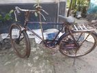 Bicycle for sell