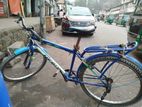 Bicycle for sell