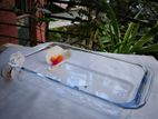 High quality borosilicate serving dish