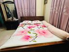 High Thick Bed 6/7 Feet
