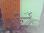 Bicycle sell