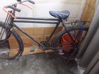 Bicycle for sell