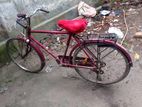 cycle for sell