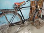 Bicycle for sell