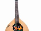 hobmer mandolin(indian product)