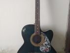 Hobner Guitar