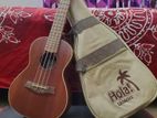 Hola Concert Ukulele