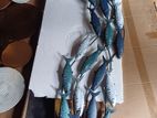 Home decor - New