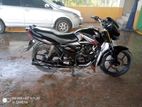 Honda cb shine 2010