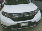 Honda CR-V 1.5 turbo 2019