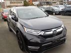 Honda CR-V Gray 2019