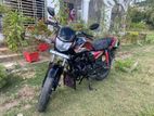 Honda Dream 110 . 2024