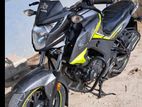 Honda Hornet 2019