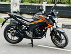Honda Hornet CBS Dual Disc 2020