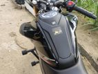 Honda Hornet 2.0 . 2025