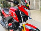 Honda Hornet SD 2019