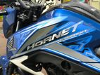 Honda Hornet Single Disk 2019